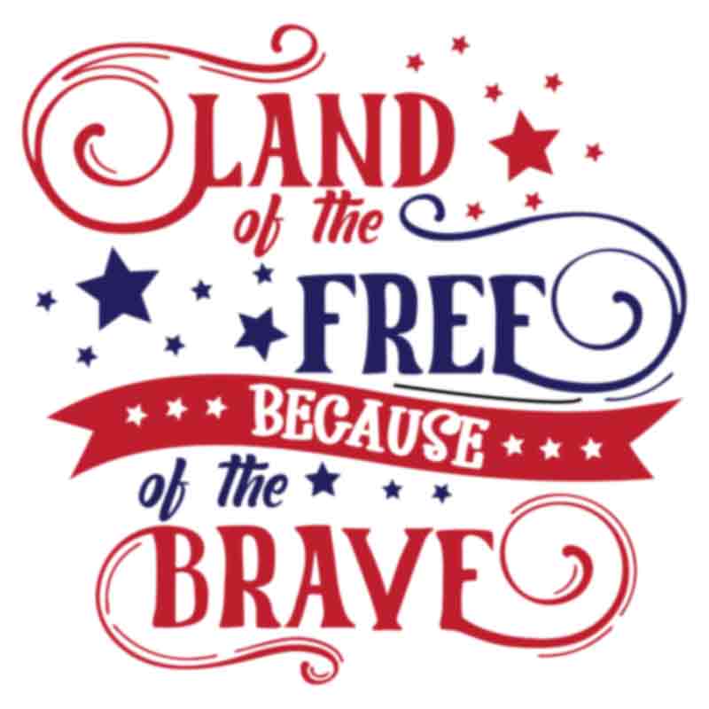 Land Of The Free Because Of The Brave (DTF Transfer)