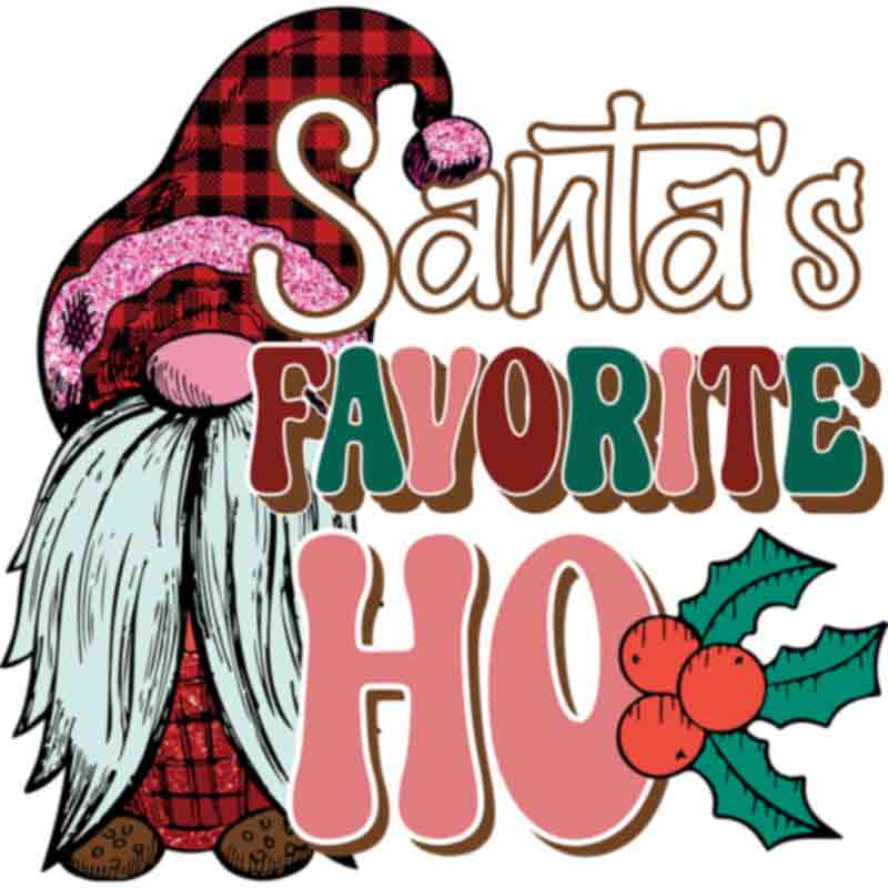 Santas Favorite Ho Gnome (DTF Transfer)