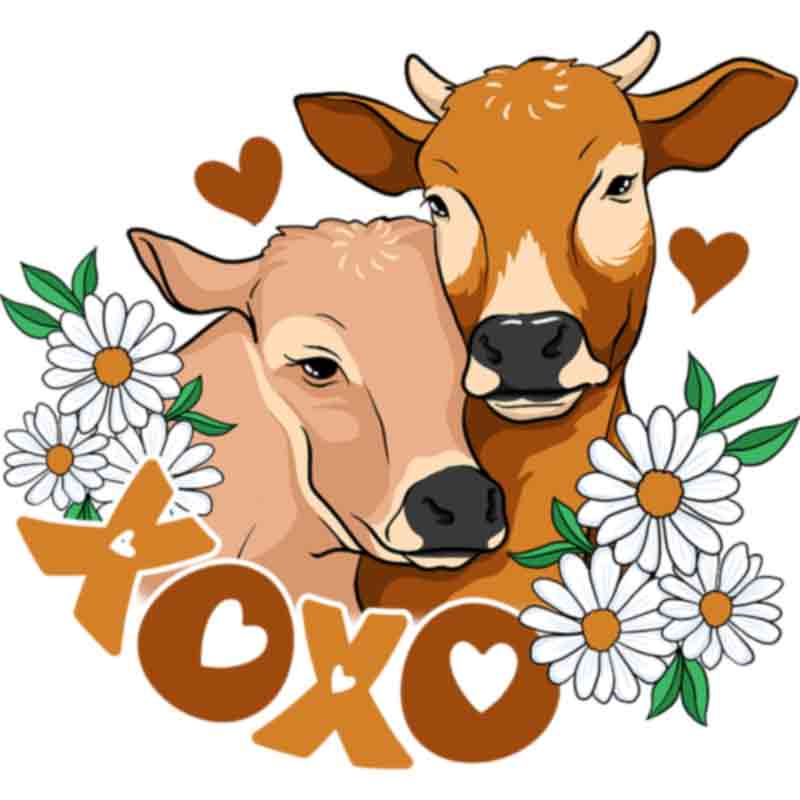 XOXO Cows (DTF Transfer)
