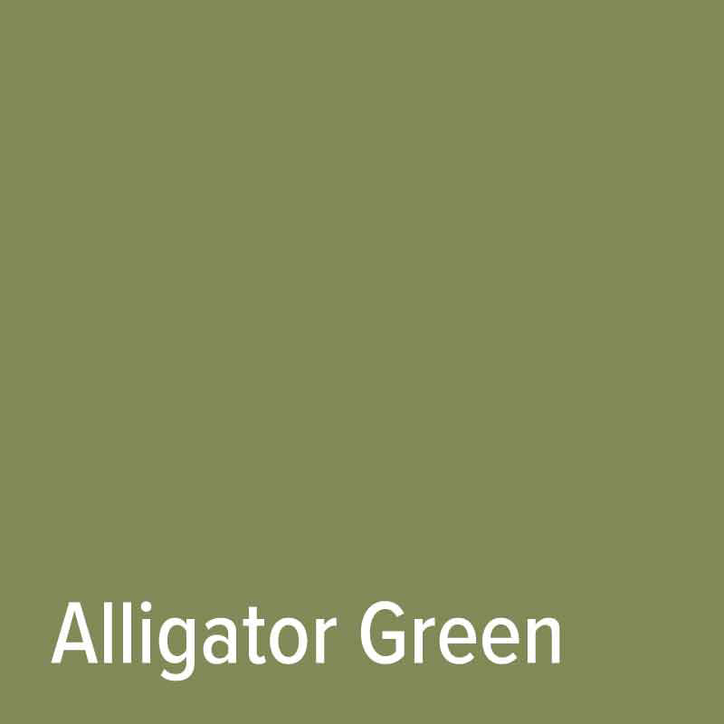 Alligator Green Siser EasyPSV Permanent Vinyl