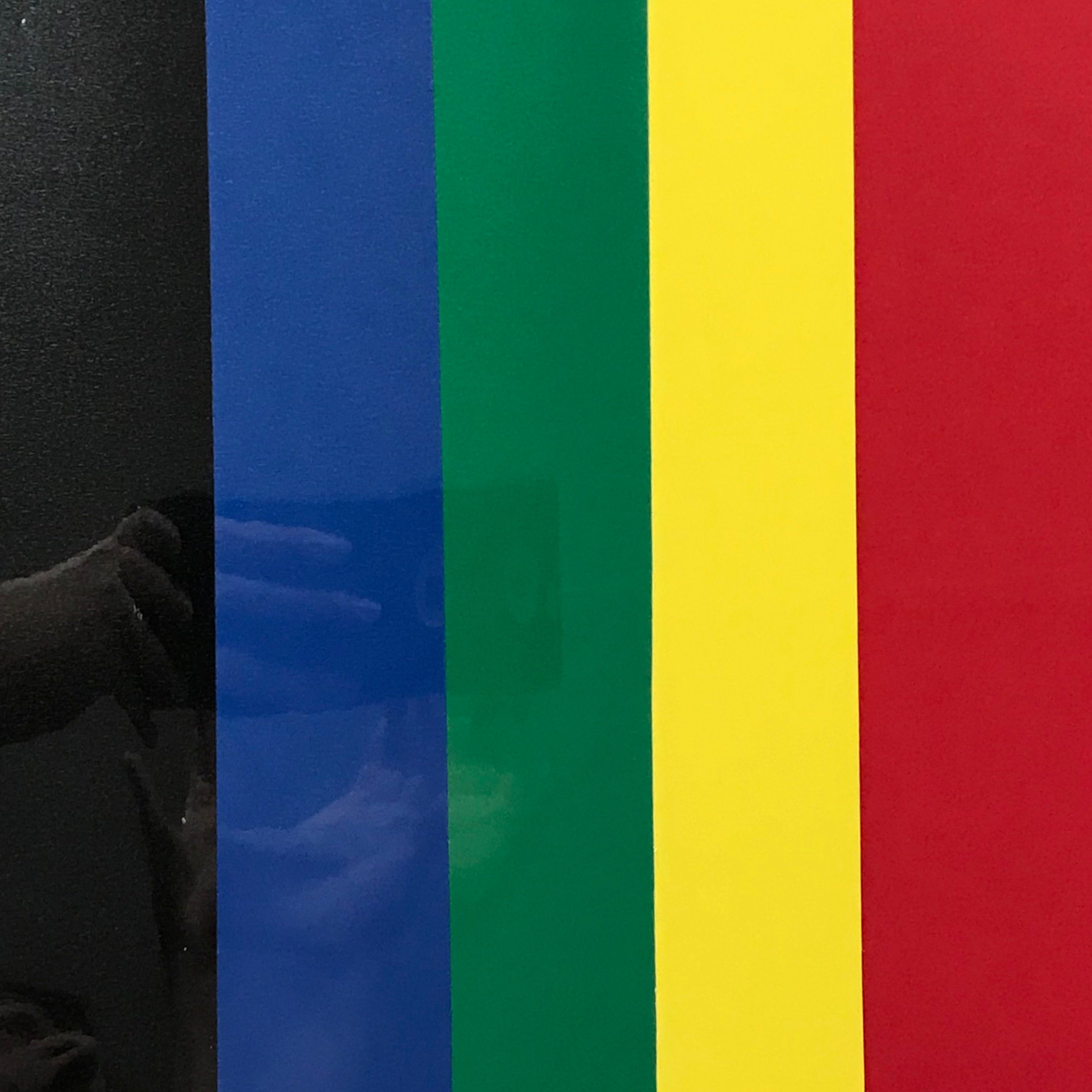 Paquete de vinilo de transferencia térmica (HTV) EasyWeed de Wildcard Colors