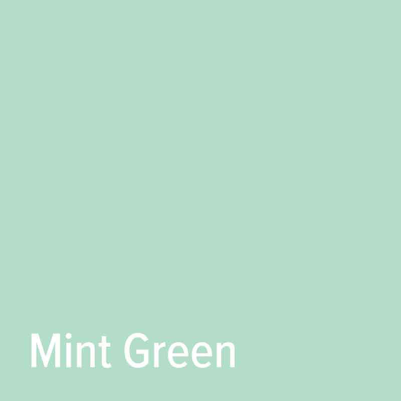 Mint Green StarCraft SD Matte Removable Vinyl