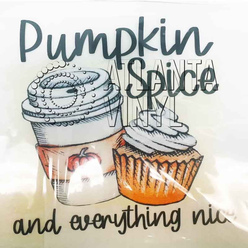 Pumpkin Spice & Everything Nice (DTF Transfer)