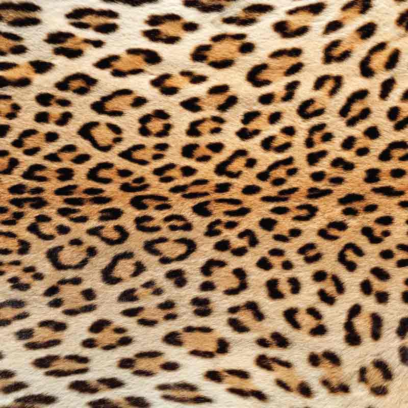 Real Leopard Patterned Adhesive Vinyl