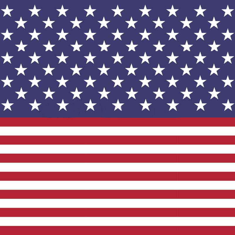 Stars & Stripes Patterned Adhesive Vinyl